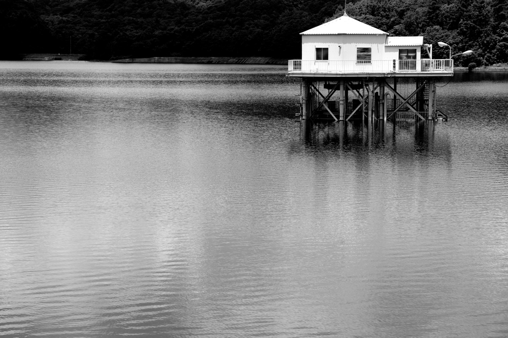 On the lake