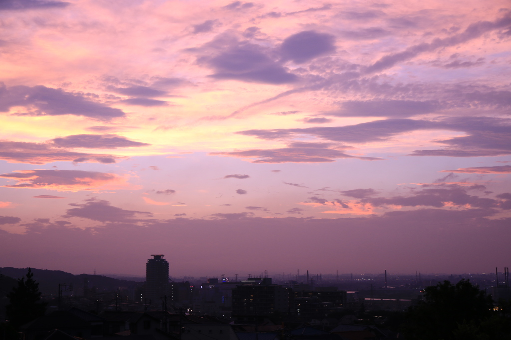 Tokyo sky