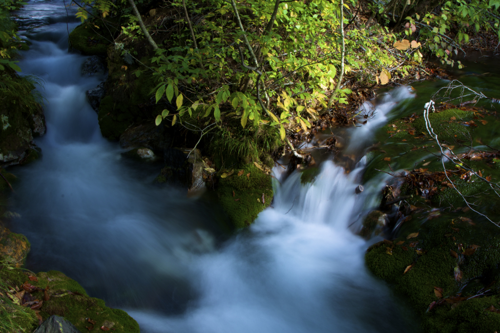 Murmuring of a stream