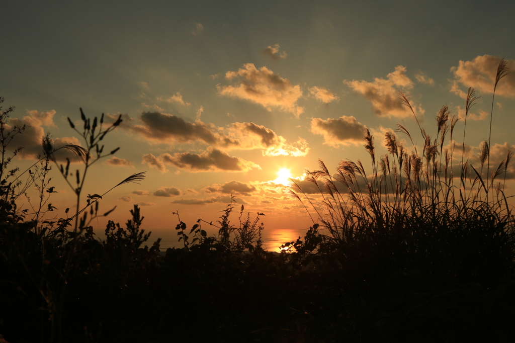 Autumn sunset