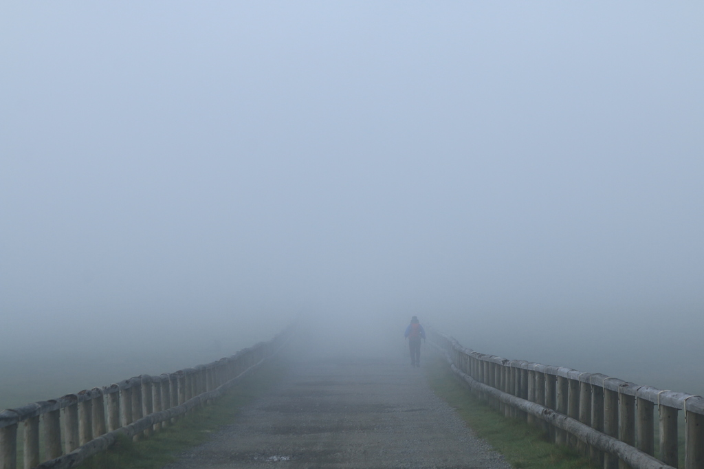 Walking in the mist