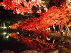 盛岡中央公民館庭園