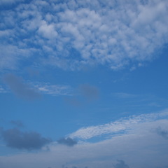 雲のアート