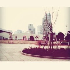 星野町公園