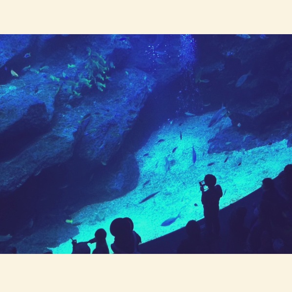 水族館