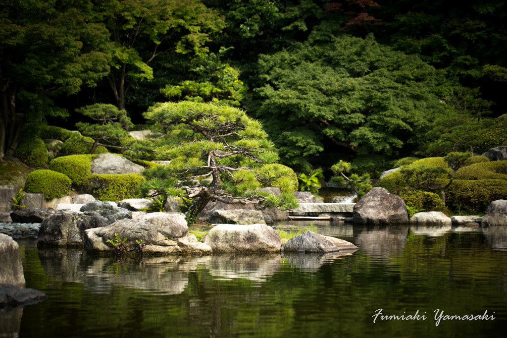 大濠公園日本庭園