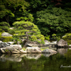 大濠公園日本庭園