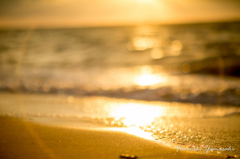 SeaFlare