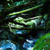 Mountain Blue stream