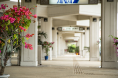 宮古島空港