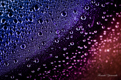 Galaxy water 