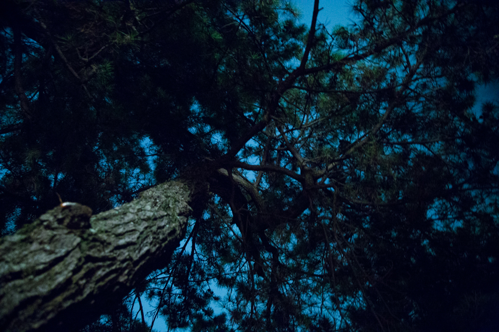 夜の青空