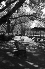 福岡の舞鶴公園の春