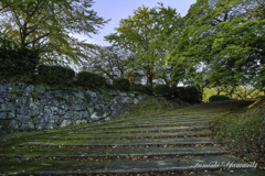 秋色の舞鶴史跡