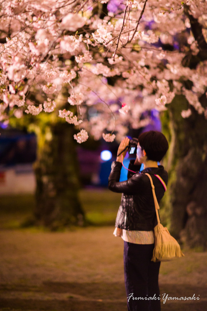 『Fascinated to SAKURA』