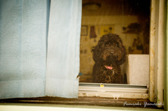 Hello♪