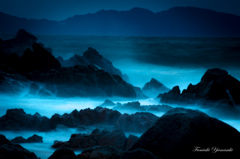 Shining sea