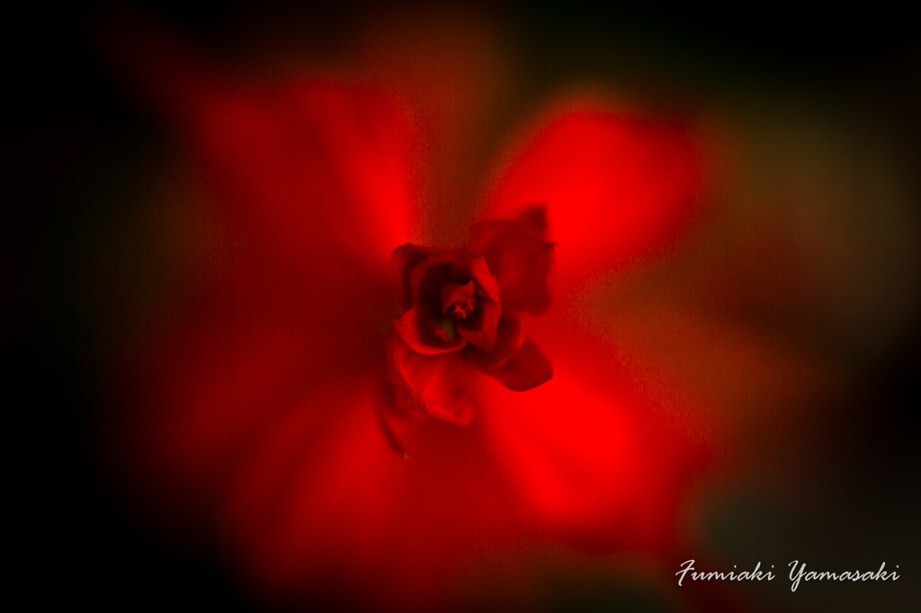 Red&BLACK