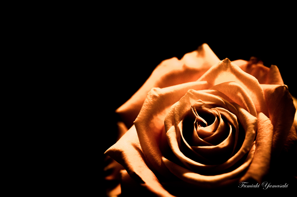Shine of last