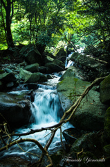 脊振山の沢
