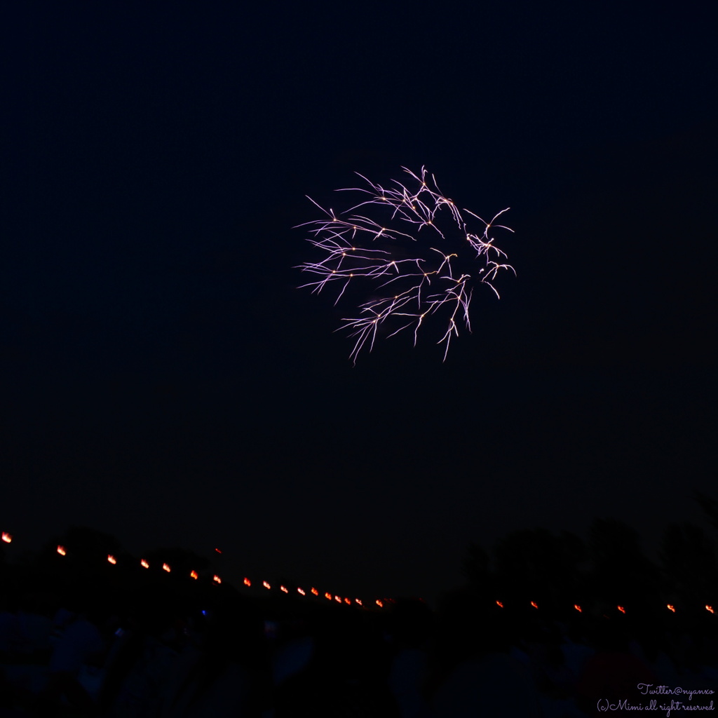 いたばし花火大会