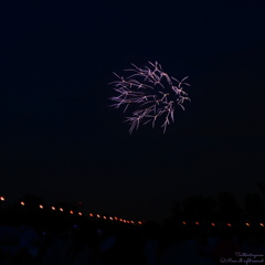 いたばし花火大会