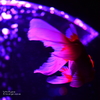 artaquarium