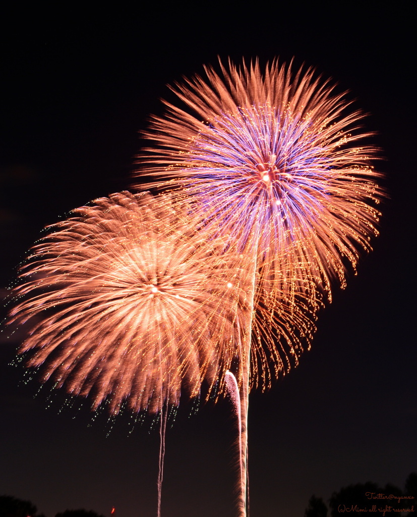 いたばし花火大会
