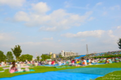 花火大会始まる前
