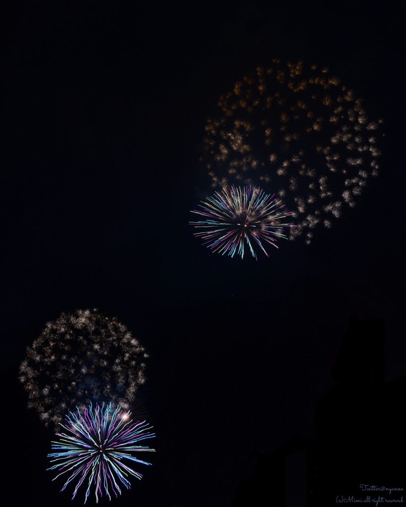 第35回足立の花火
