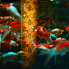 artaquarium