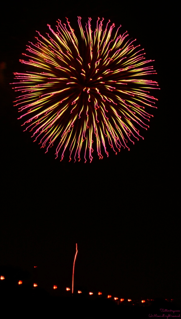 いたばし花火大会