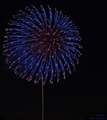 いたばし花火大会 