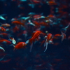 artaquarium