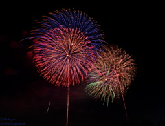 いたばし花火大会
