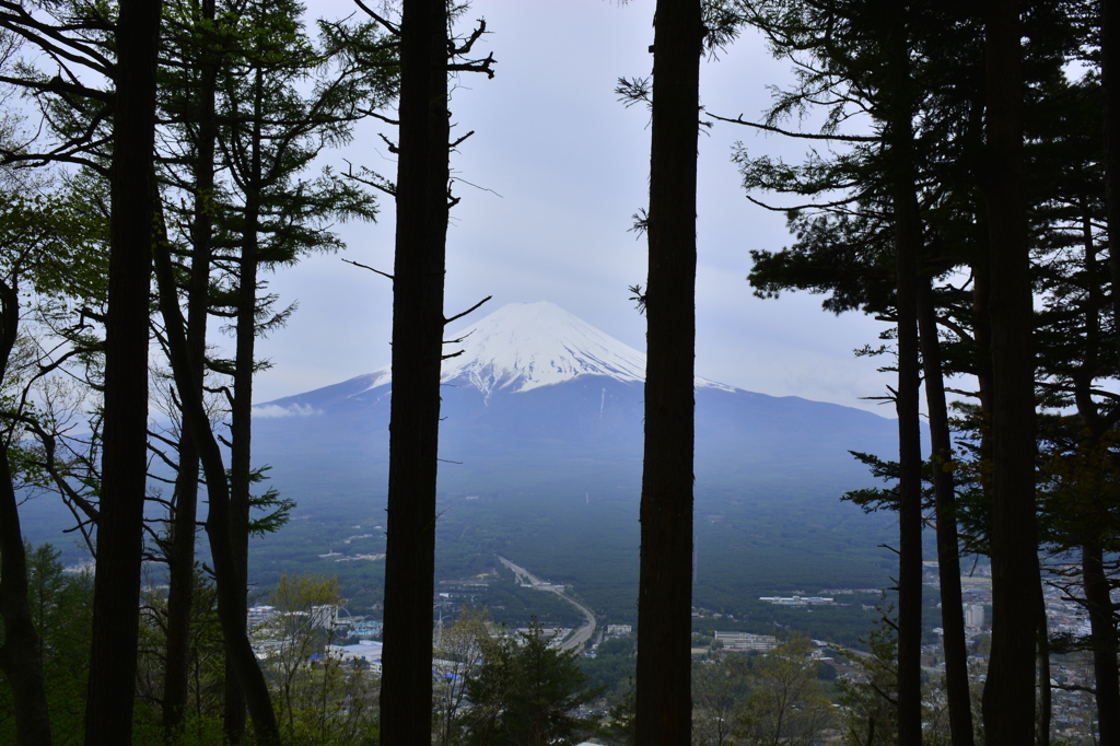 天上山から見る富士山