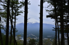 天上山から見る富士山