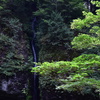 榛名神社にて。