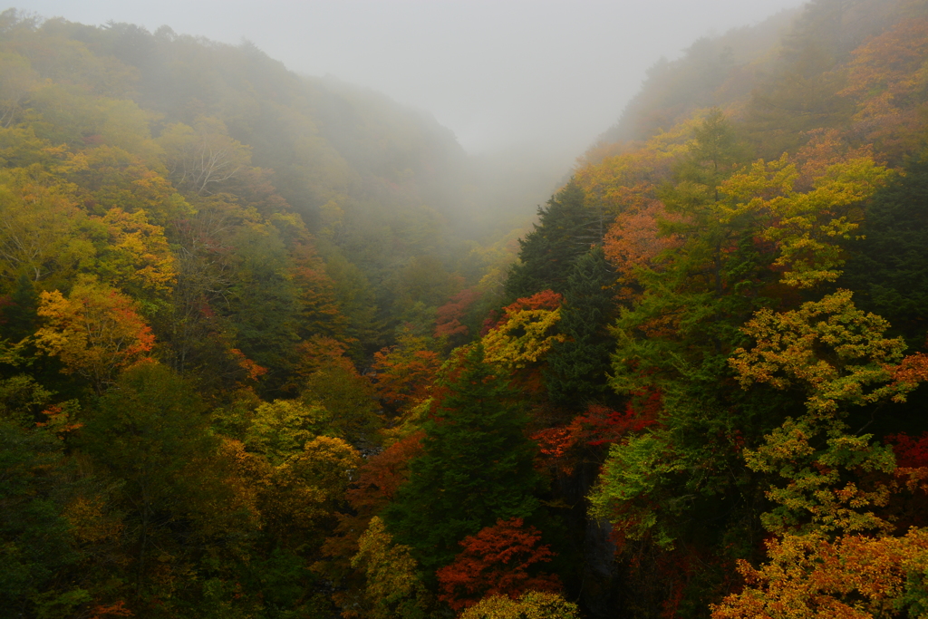 東沢大橋から見る景色