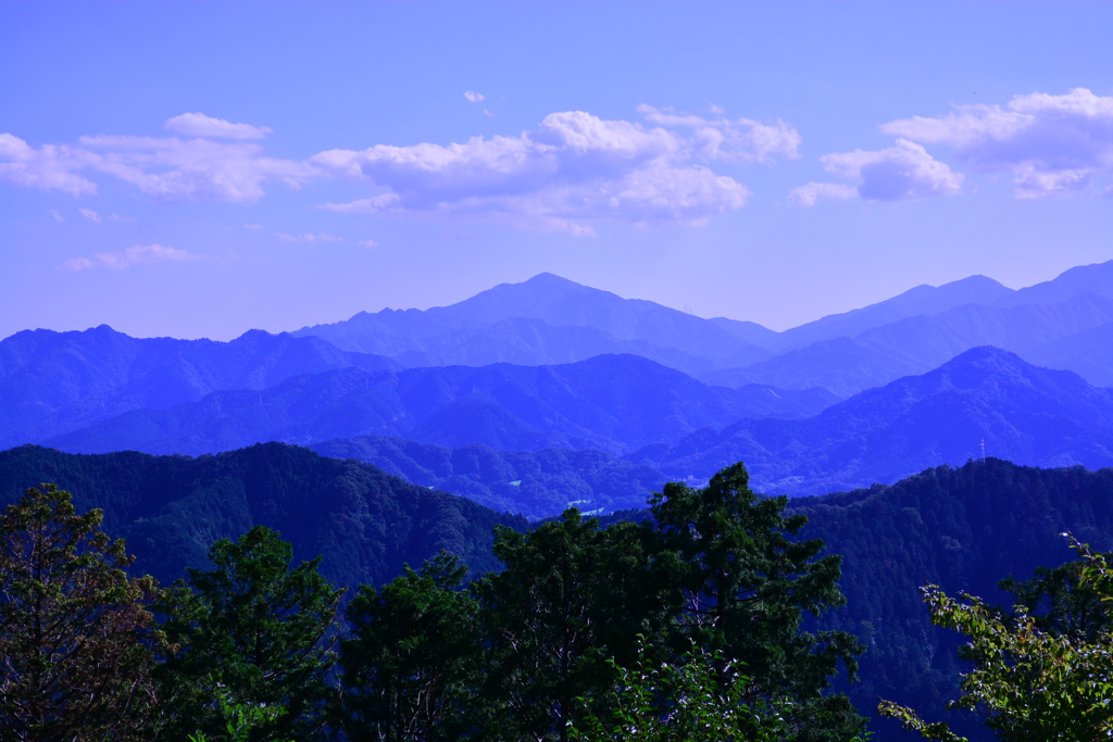 高尾山 山頂