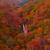 霧降の滝