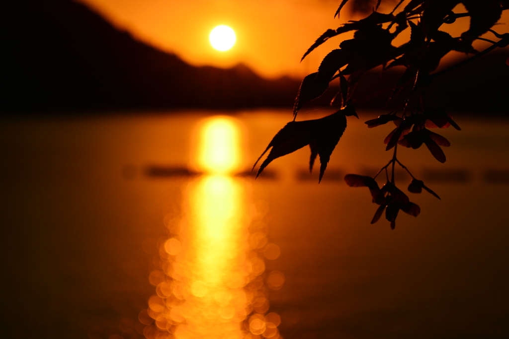 相模湖 夕景