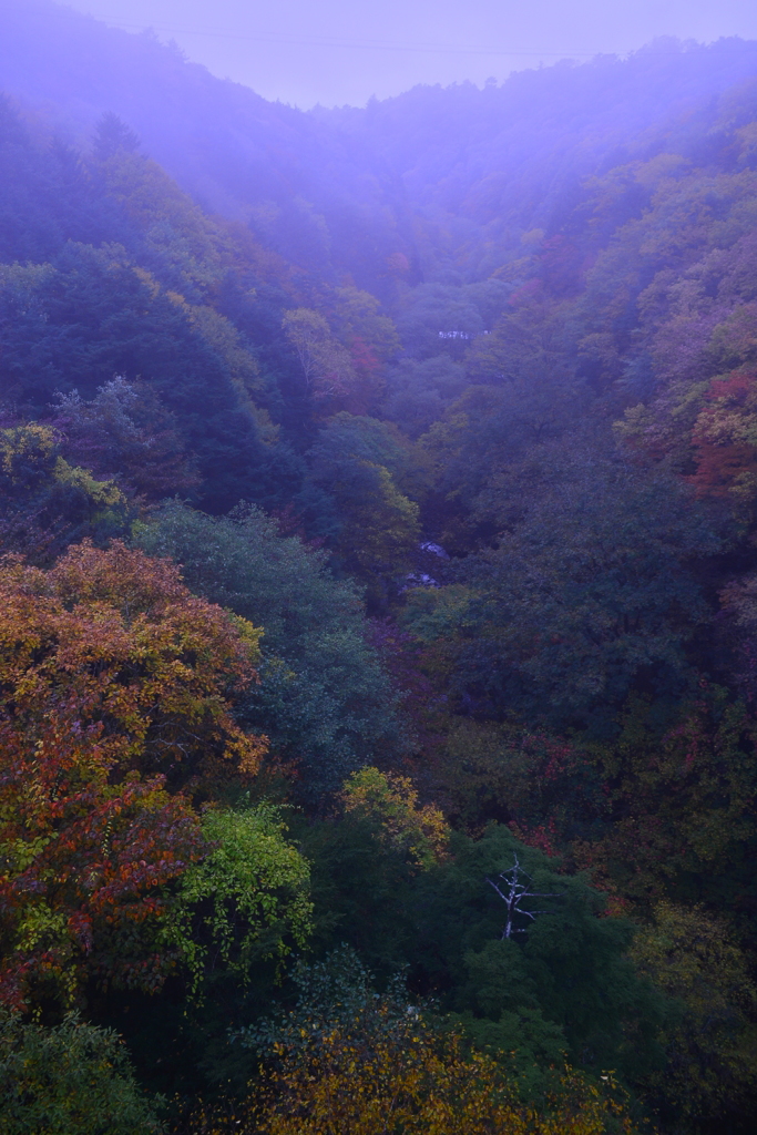 東沢大橋から見る景色