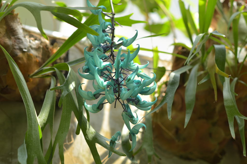 神代植物公園にて。