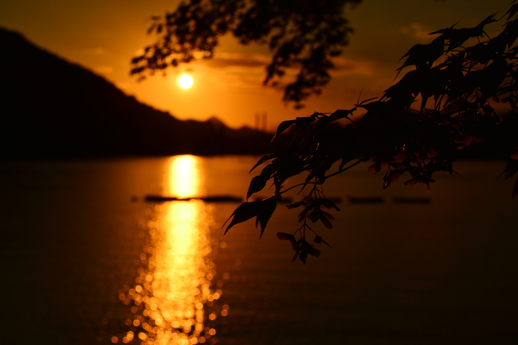 相模湖 夕景