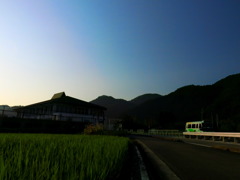 帰省