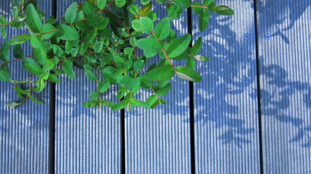 納涼床（今風）