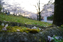 DSC00220