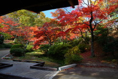 DSC00326