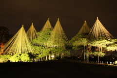 兼六園ライトアップ